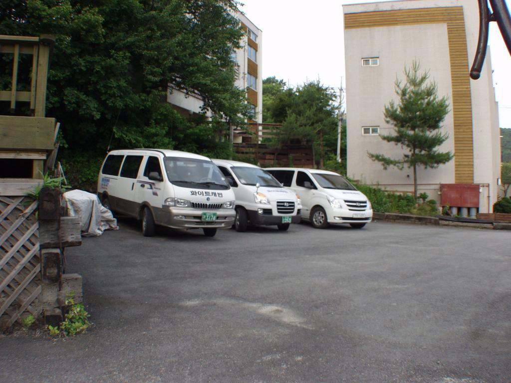 White Cabin Pyeongchang Esterno foto