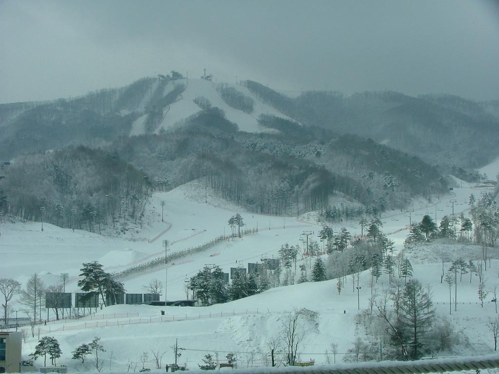 White Cabin Pyeongchang Esterno foto